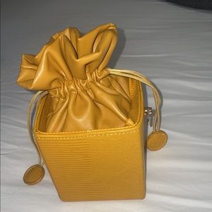 Small mustard Purse